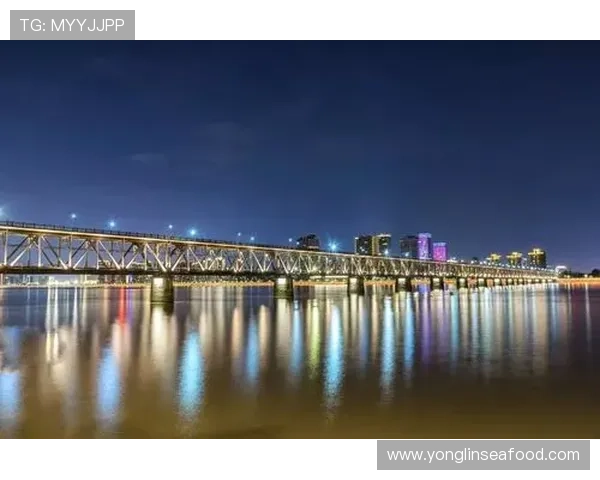 杭州篮球队的极速风暴揭秘：速度与激情的完美结合