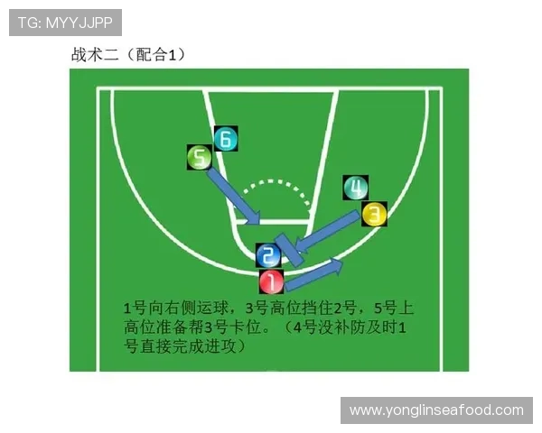 杭州篮球队防反战术革新探秘助力球队崛起与发展