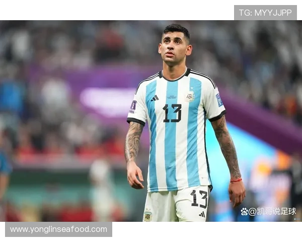 你的对手偶像足球明星背后的奋斗故事与成就启示