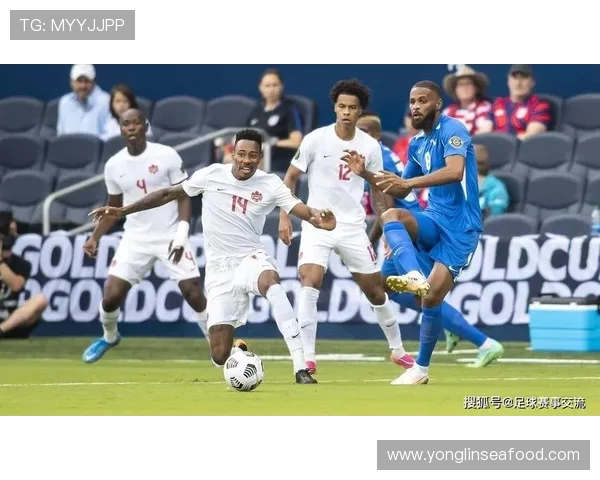 加蓬足球明星排行榜揭晓谁是球场上的璀璨之星