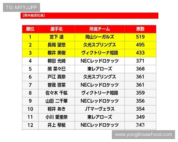南京排球队在城市联赛中的实力展现与未来发展潜力分析