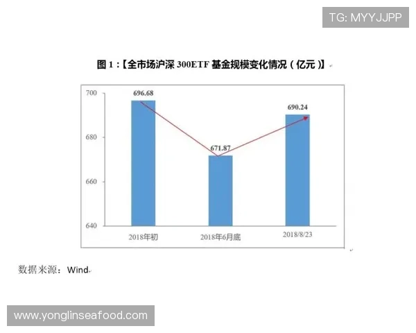 武汉羽毛球队力量表现数据分析揭示运动员潜力与训练效果的深度关系